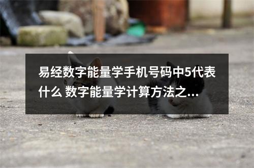 易经数字能量学手机号码中5代表什么 数字能量学计算方法之让你喜欢独处利益至上的手机号有哪些